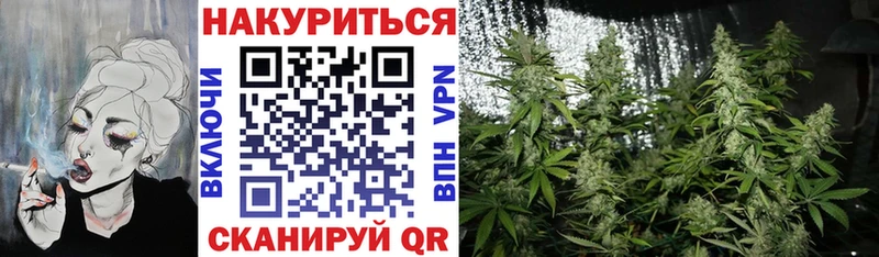 Купить где  Борзя  МАРИХУАНА семена 